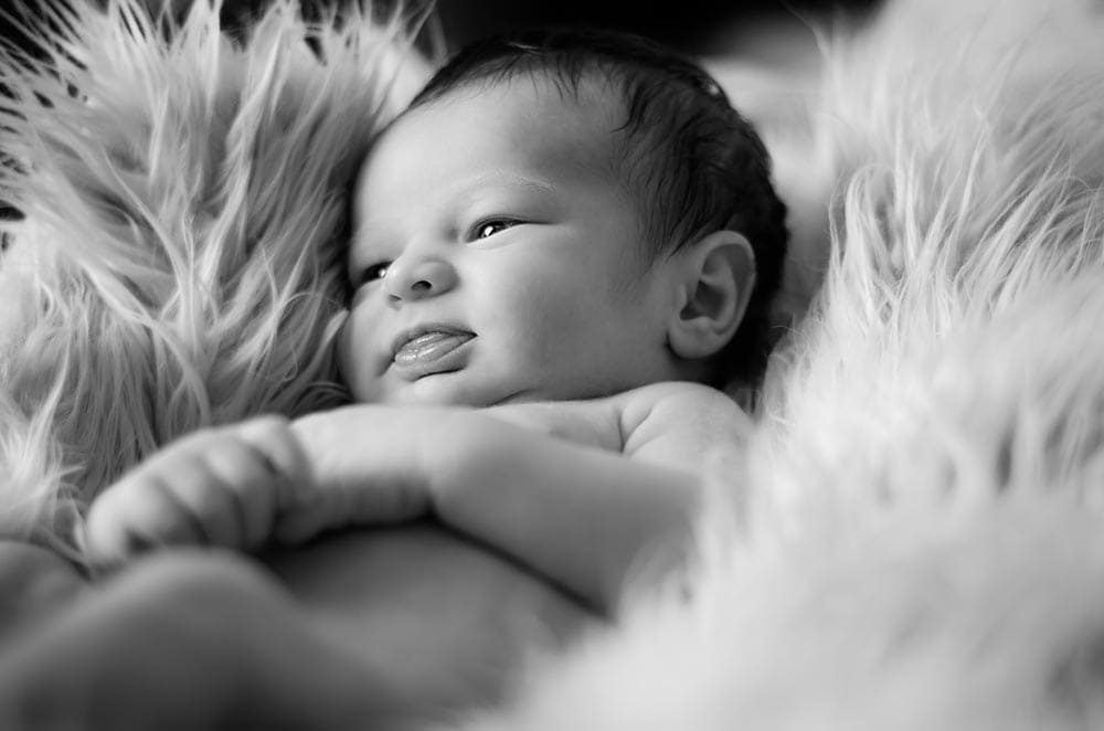 newborn photo session in Salem, nh
