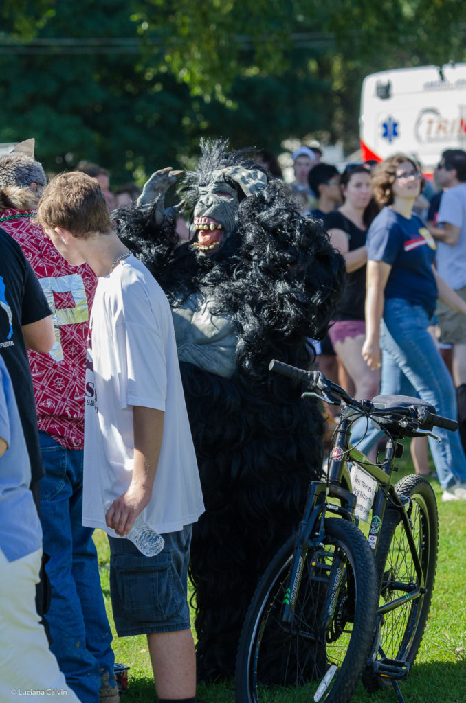 Kinetic Race in Lowell