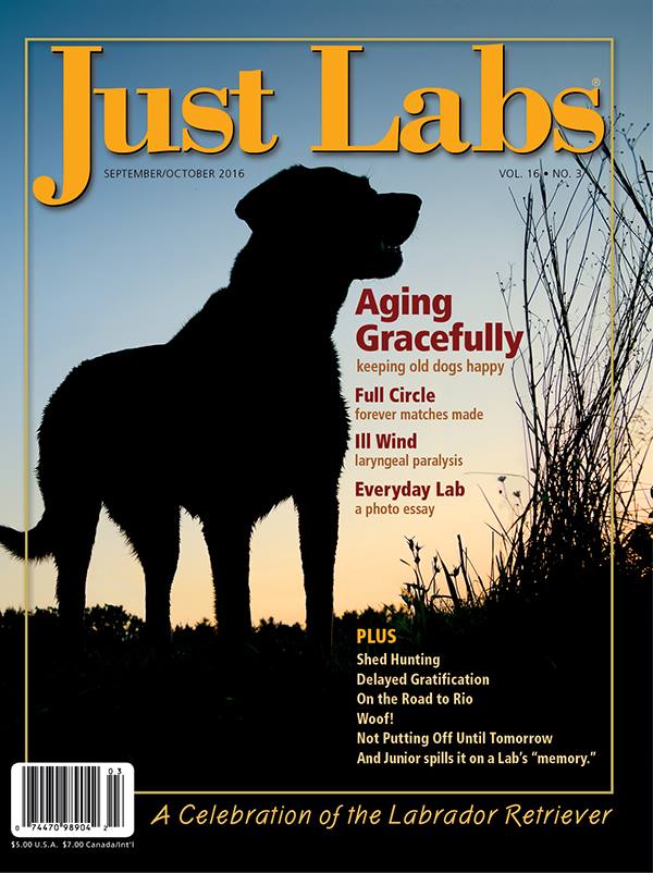 Just Labs magazine cover
