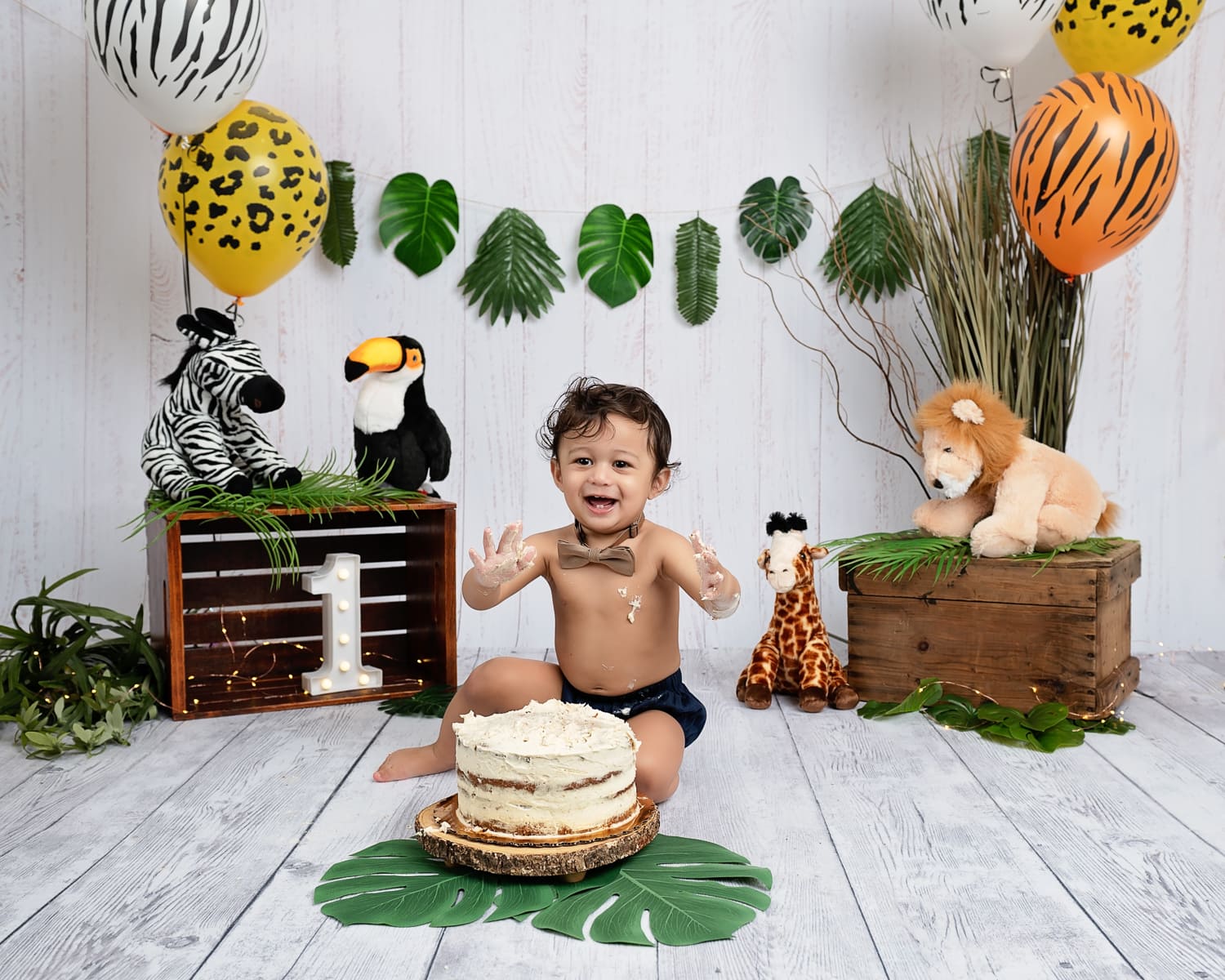 Meir’s Jungle Cake Smash