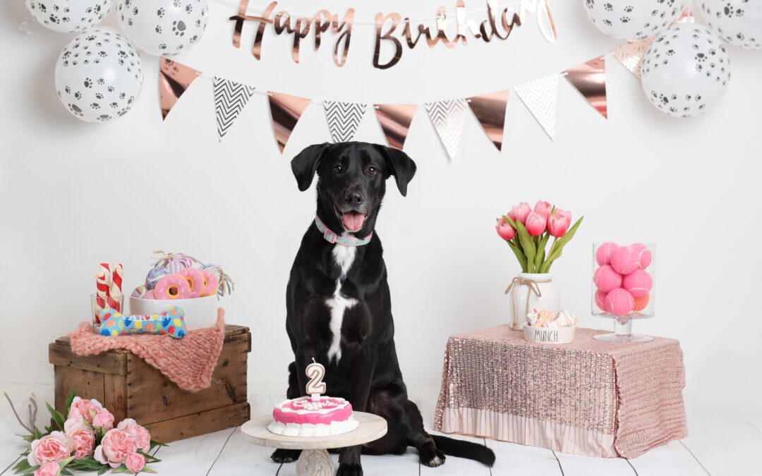 Jackie is 2 years old!!