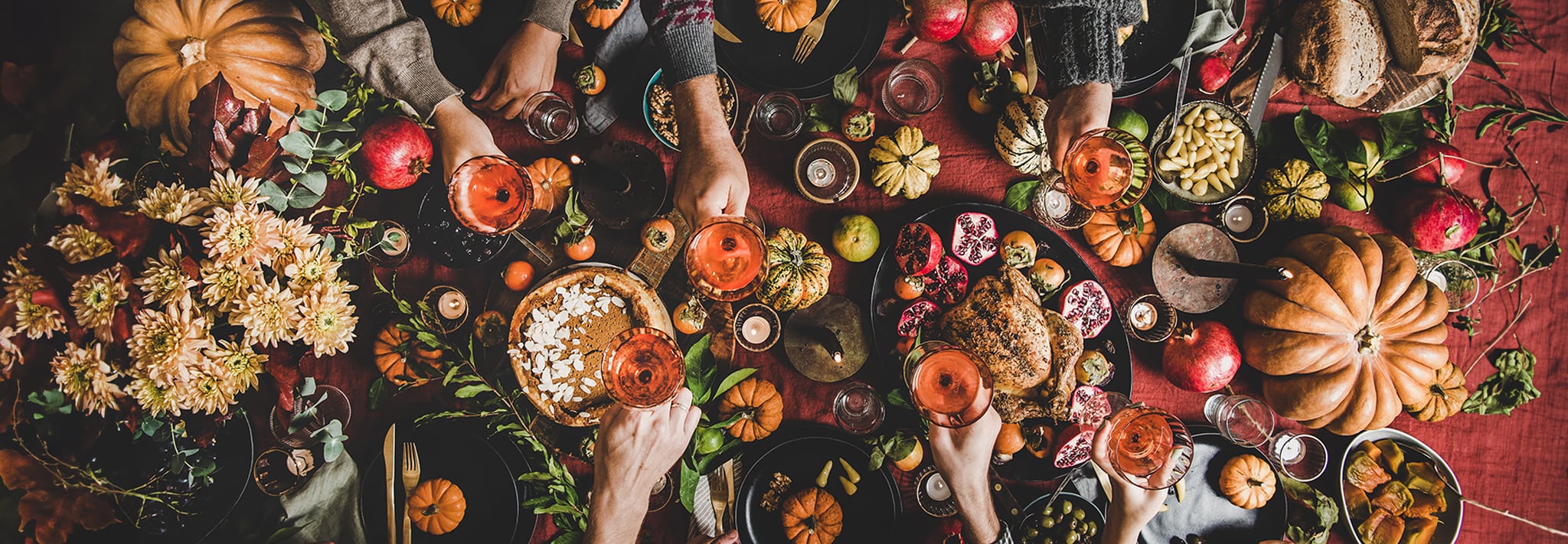 Backyard-family-portraits-chelmsford chelmsford family portraits backyard