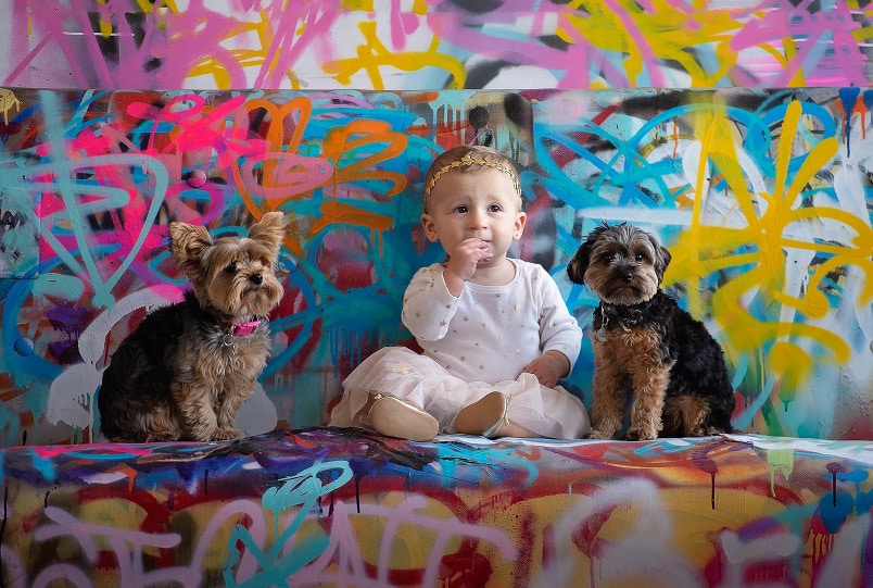 baby-dogs-portrait-chelmsford-ma-luciana-calvin