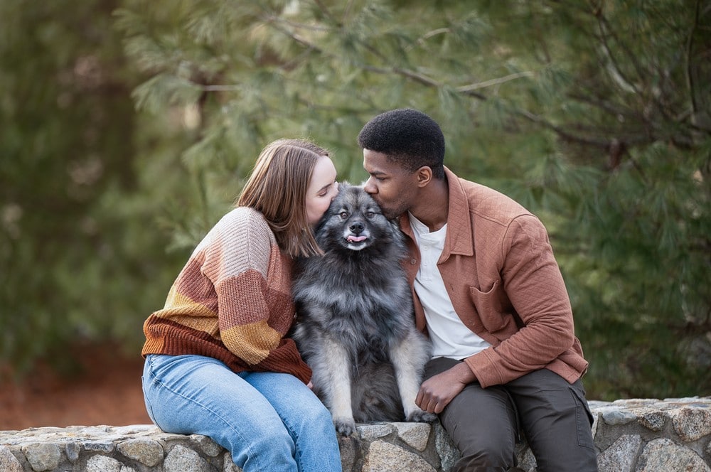 outdoor-dog-portrait-session-greater-boston-ma