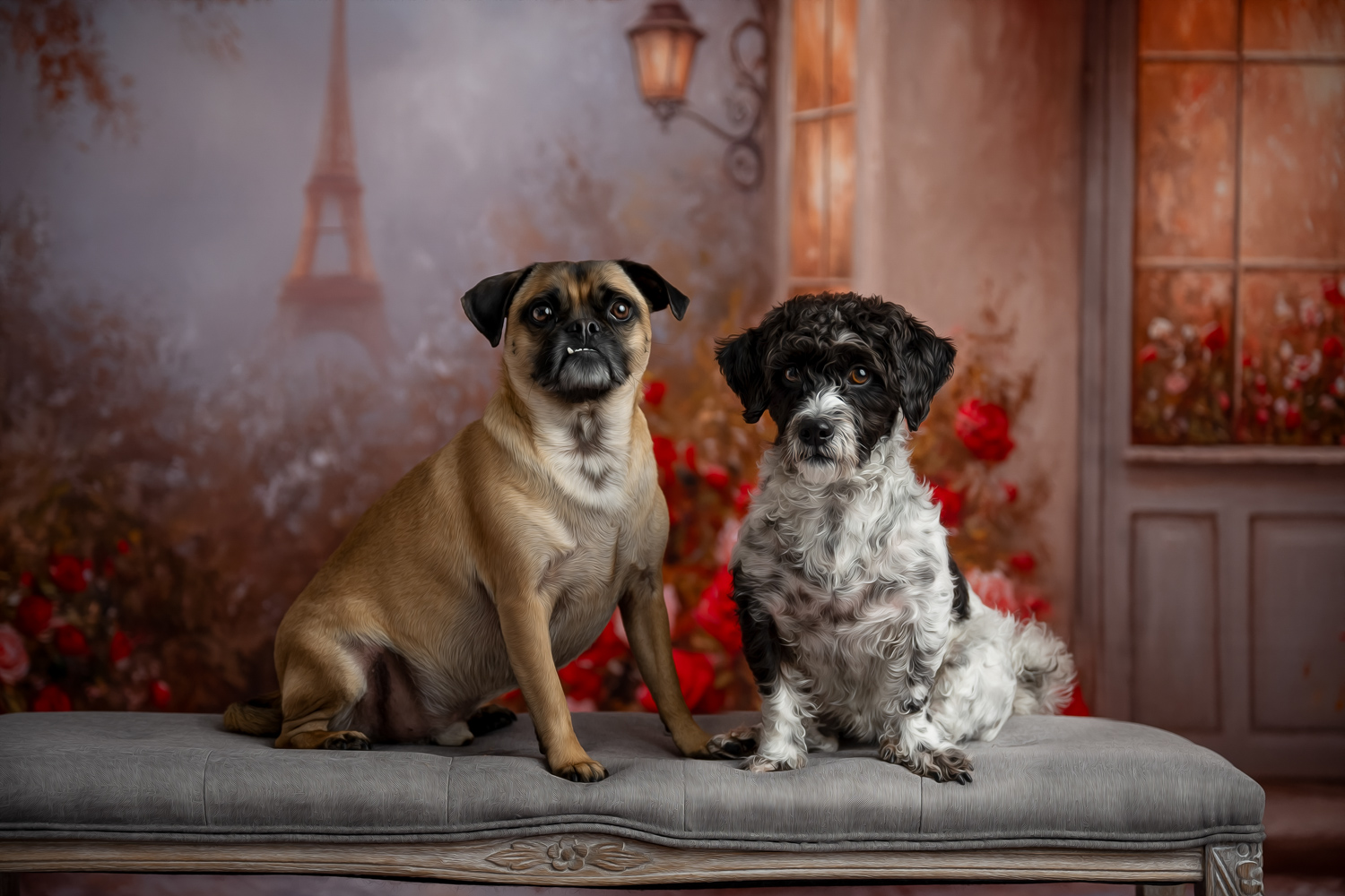 valentines-wall-art-dog-portrait-chelmsford-ma