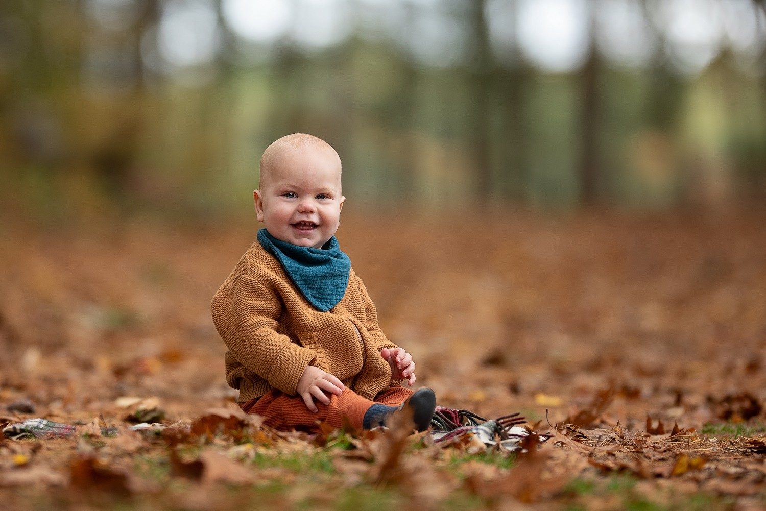 Baby sitting alone laughing in deep fallen oak leaves at Assabet River National Wildlife Refuge, Sudbury Massachusetts