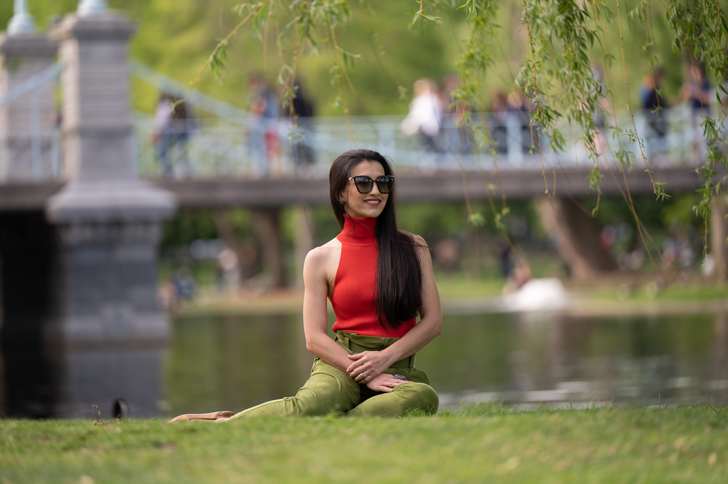 Woman seated on the lawn beside the lagoon with the 1867 footbridge and a swan behind her in the Boston Public Garden in Boston MA